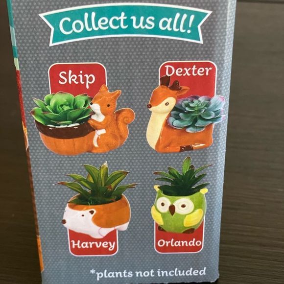 Skip the Chipmunk Animal pot planter succulent NEW plants not included - Picture 7 of 7